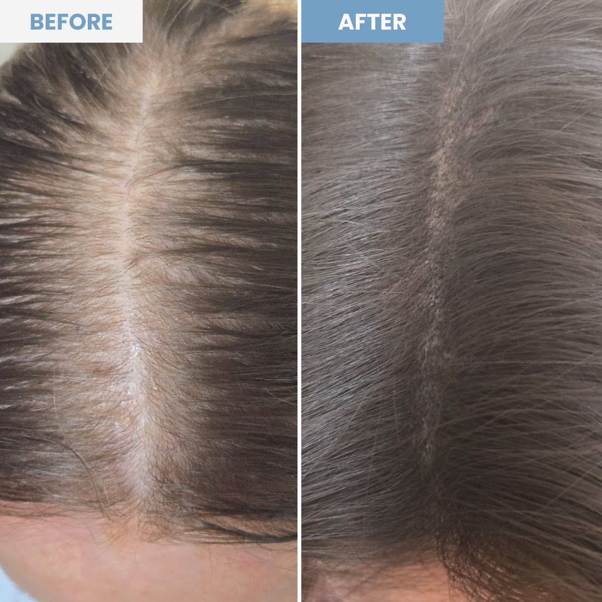 Image 27839563956247