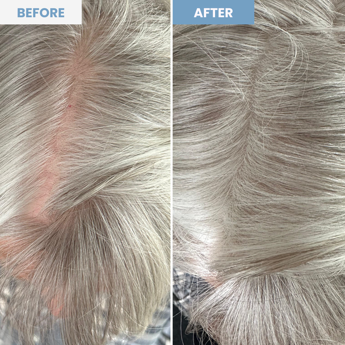 Image 27839564054551